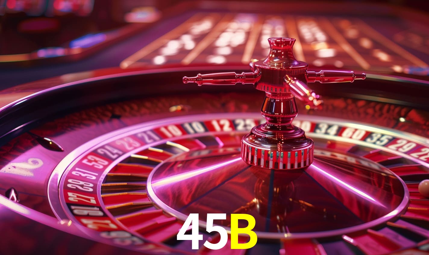 Programa VIP 45B